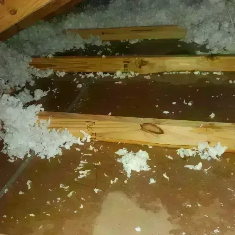 Attic Water Damage in Lynnwood, WA