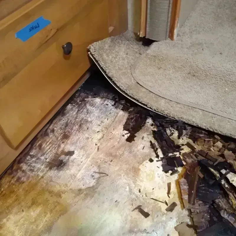 Wood Floor Water Damage in Lynnwood, WA